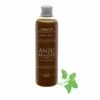 Shampooing à L'abricot Anju Beauté 250 Ml -NILUFAR Soldes anju beaute shampooing a labricot anju beaute 250 ml an200