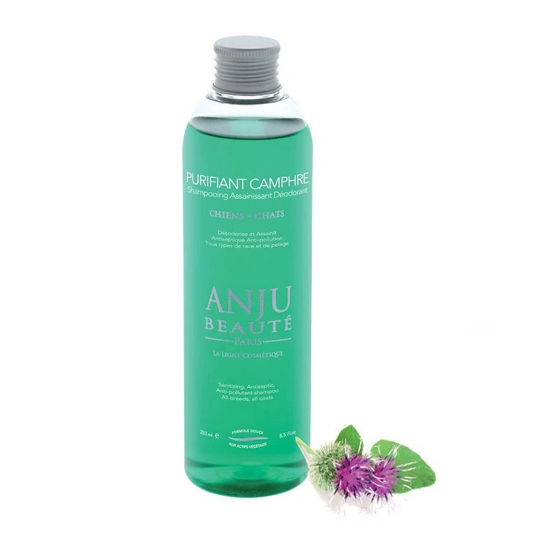 Shampooing Purifiant Camphre Anju Beauté 250 Ml 3 Shampooing Purifiant Camphre Anju Beauté 250 Ml
