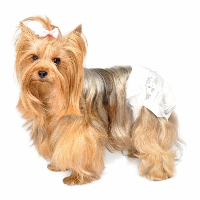 Couches Jetables Camon 12 Pièces 4 Couches Jetables Camon 12 Pièces – Image 2