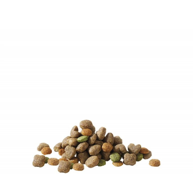 Croquettes Happy Life Adult Mini à L'Agneau 4 Croquettes Happy Life Adult Mini à L'Agneau – Image 2