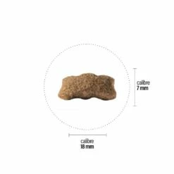 Croquettes Perro Basic - Junior V.2 -NILUFAR Soldes perro croquettes perro basic junior v2 181035 1