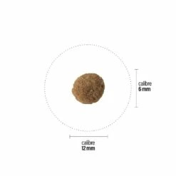 Croquettes Perro Basic - Low Fat -NILUFAR Soldes perro croquettes perro basic low fat 181051 1