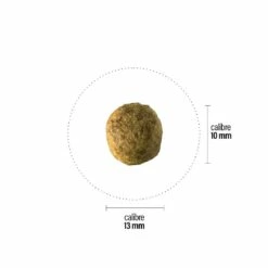 Croquettes Perro Basic - Végétarien -NILUFAR Soldes perro croquettes perro basic vegetarien 181100 1