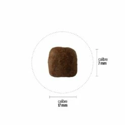 Croquettes Perro Grain Free - Adulte Canard Tendre Grand 7 Croquettes Perro Grain Free - Adulte Canard Tendre Grand -NILUFAR Soldes perro croquettes perro grain free adulte canard tendre grand 189402 1