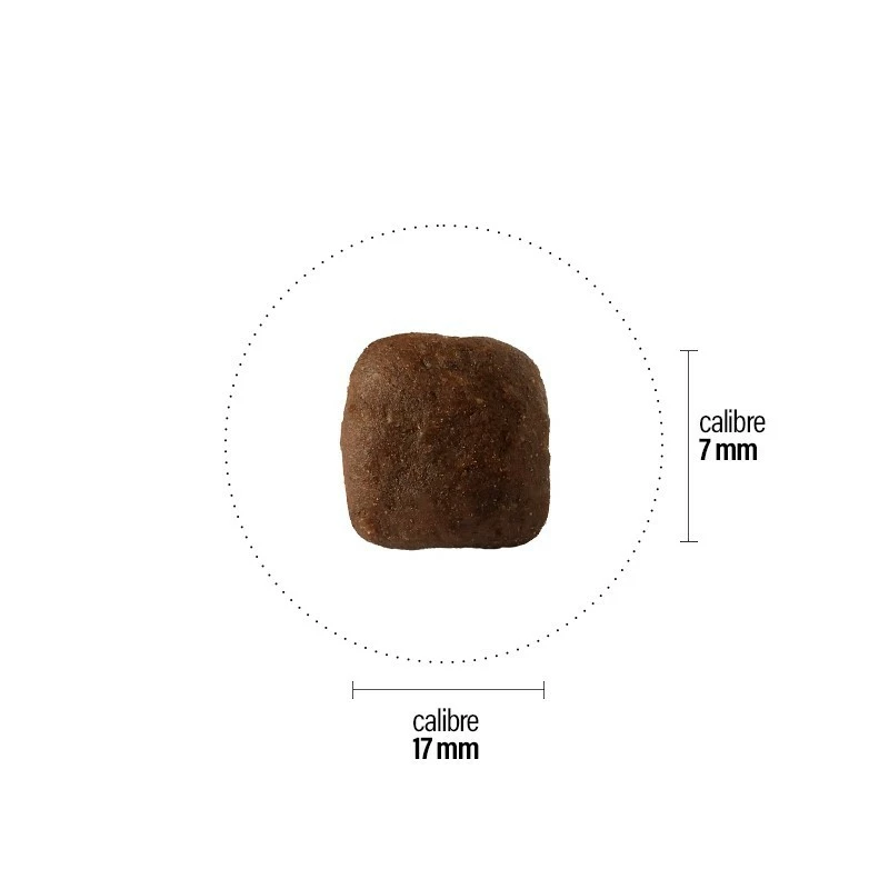 Croquettes Perro Grain Free - Adulte Canard Tendre Grand 5 Croquettes Perro Grain Free - Adulte Canard Tendre Grand – Image 3