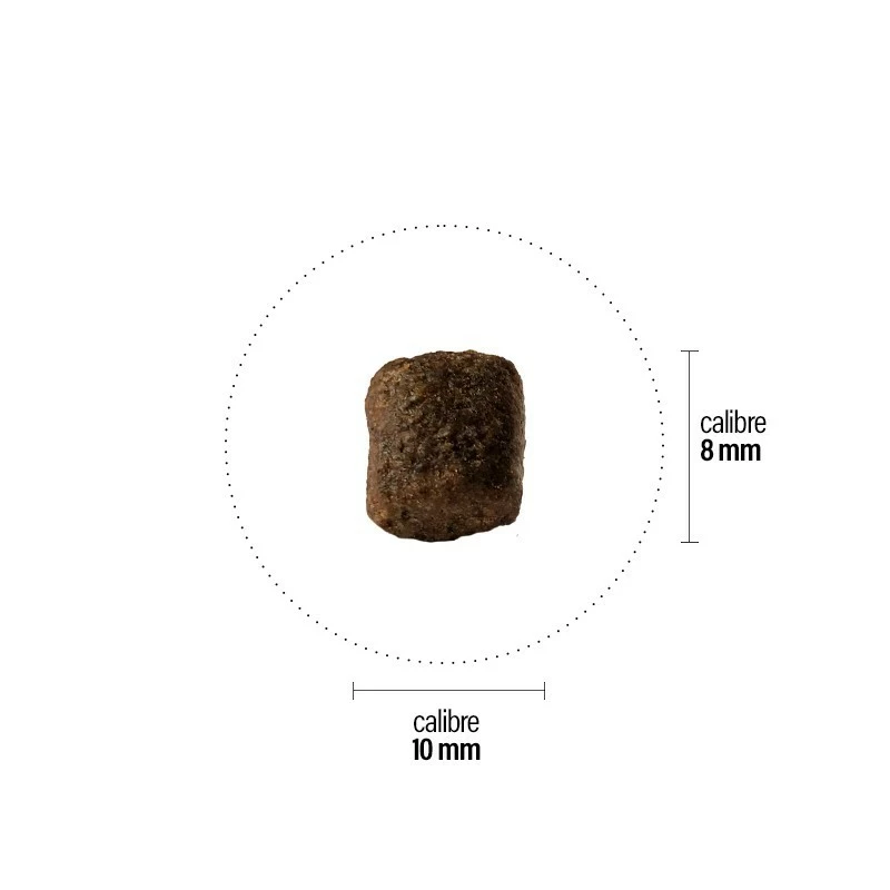 Croquettes Perro Grain Free - Adulte Truite & Saumon 5 Croquettes Perro Grain Free - Adulte Truite & Saumon – Image 3