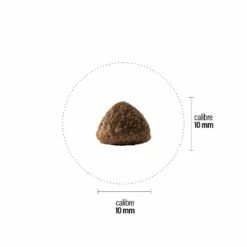 Croquettes Perro Select Grain Free - Lapin & Pomme De Terre -NILUFAR Soldes perro croquettes perro select grain free lapin pomme de terre 181044 1