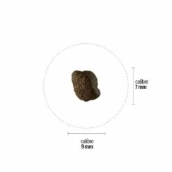 Croquettes Perro Select - Volaille SPF 7 Croquettes Perro Select - Volaille SPF -NILUFAR Soldes perro croquettes perro select volaille spf 1