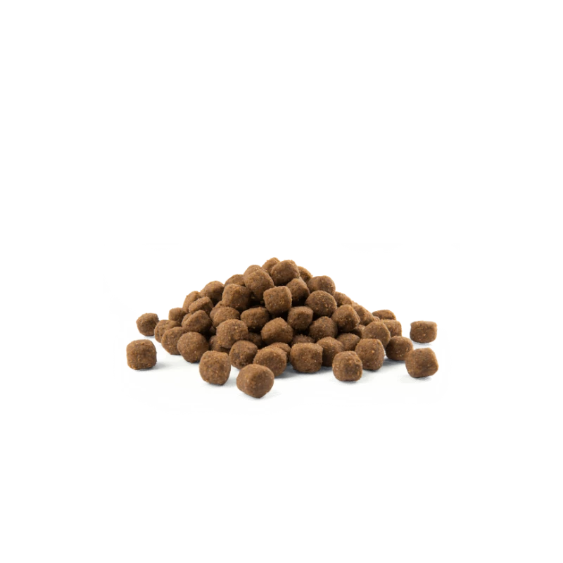 VERSELE-LAGA CROQUETTE CHIEN ADULTE - VERSELE-LAGE, POULET & RIZ 3 VERSELE-LAGA CROQUETTE CHIEN ADULTE - VERSELE-LAGE, POULET & RIZ – Image 2